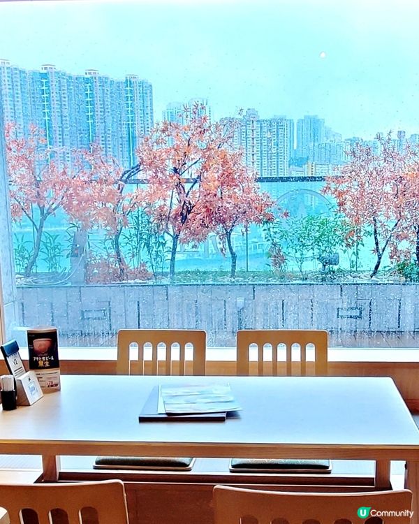 紅葉茶屋 🍁MOMIJI-CHAYA もみじ茶屋。海之戀