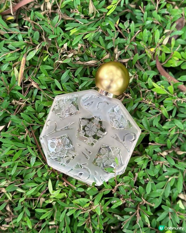 爽身粉味香水💗