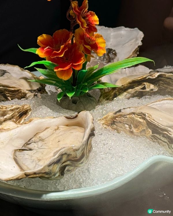 珠海椰子🥥雞鍋好味😋