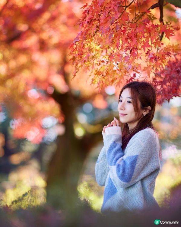 ｛日本旅遊｝2024 紅葉打卡月份及地點