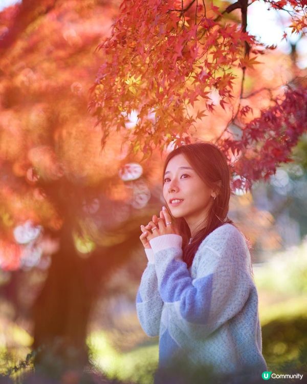 ｛日本旅遊｝2024 紅葉打卡月份及地點