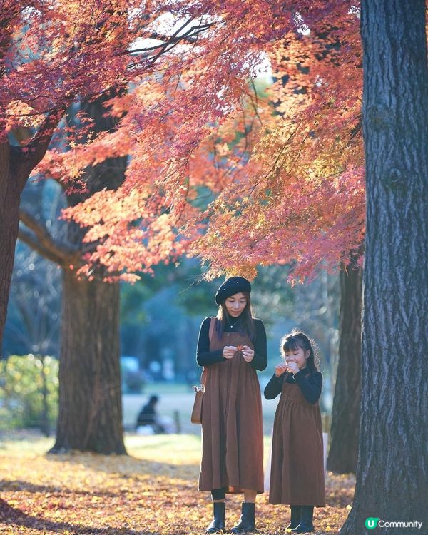 ｛日本旅遊｝2024 紅葉打卡月份及地點