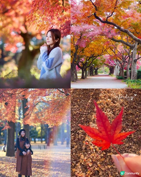 ｛日本旅遊｝2024 紅葉打卡月份及地點