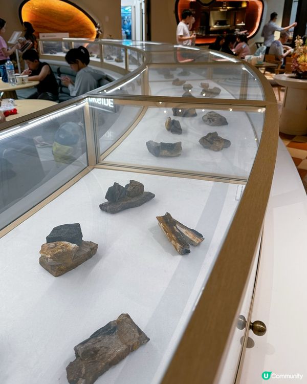 📸木化石主題打卡休閒餐廳✨