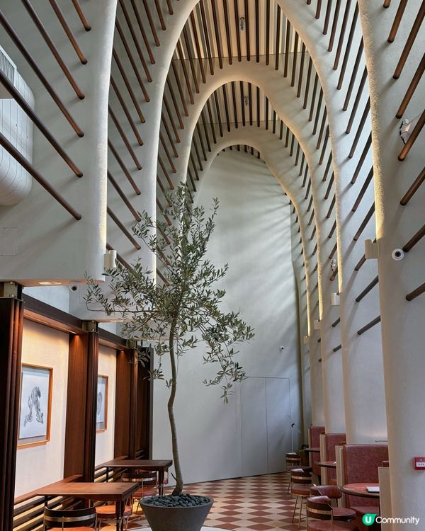 📸木化石主題打卡休閒餐廳✨