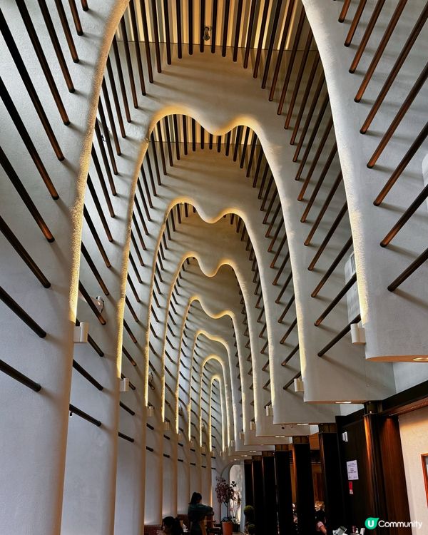 📸木化石主題打卡休閒餐廳✨