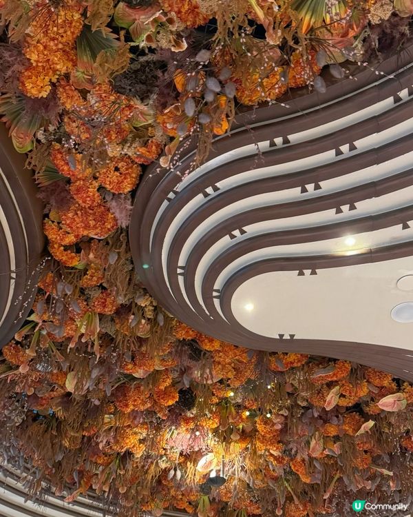 📸木化石主題打卡休閒餐廳✨