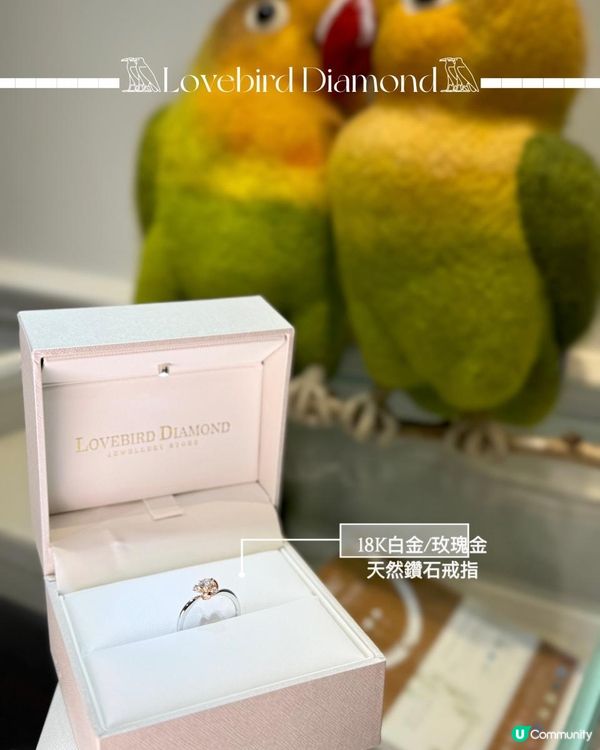 ⚜️高貴不貴一生一次，香港本地品牌「入門款婚戒」小資女必看！⚜️