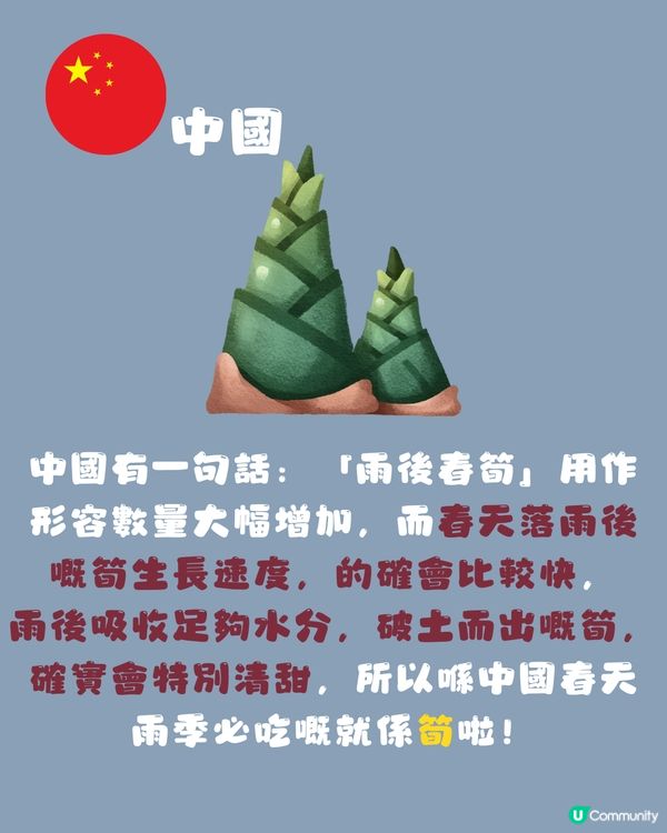 各國落雨冷知識🌍原來喺泰國會高掛呢樣嘢驅雨😂落雨食咩好？