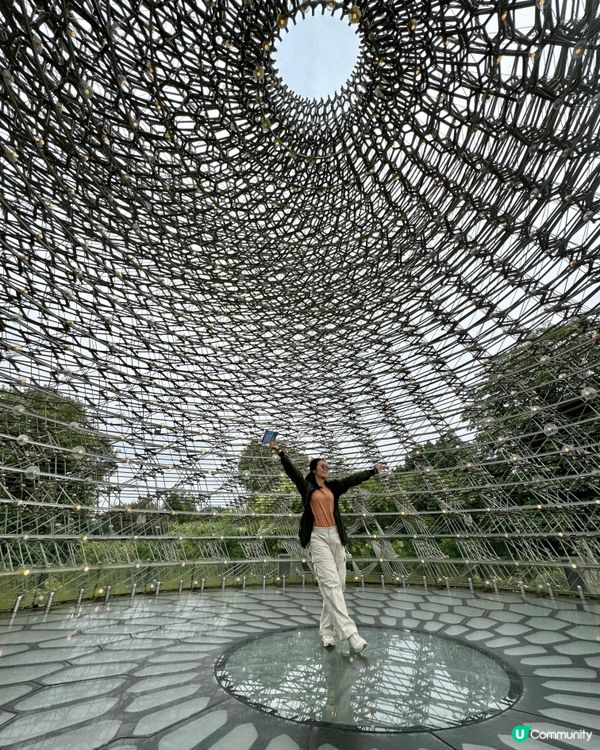 終於明白邱園為什麼要辦年票