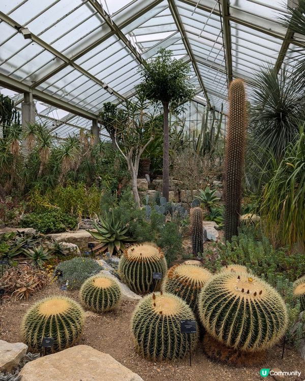 終於明白邱園為什麼要辦年票