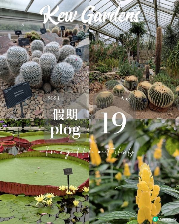 終於明白邱園為什麼要辦年票