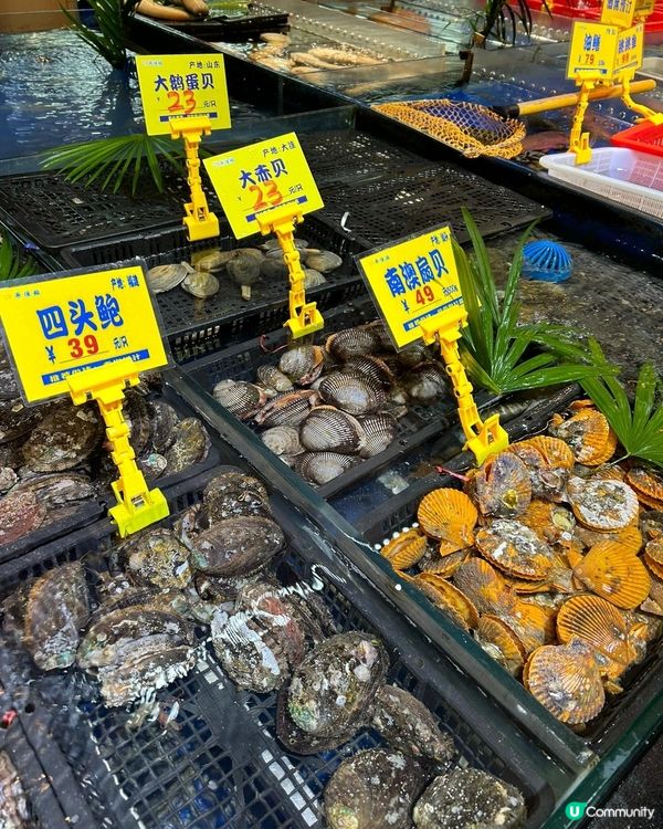 ✨️深圳79號漁船✨️