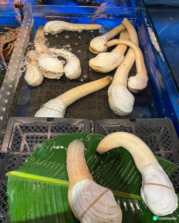 ✨️深圳79號漁船✨️