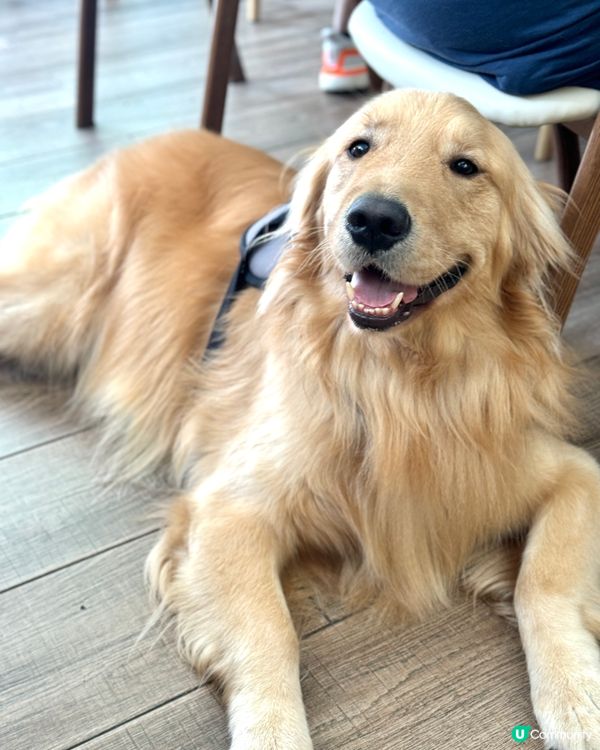 開心果甜品系列