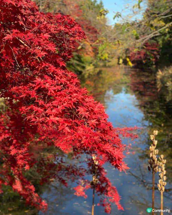 🗺️《開始plan吓》🎌青森🏯弘前城🍁秋天旅行
