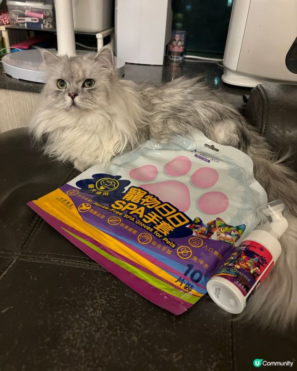 Mochii仔覺得好嘆❤️❤️