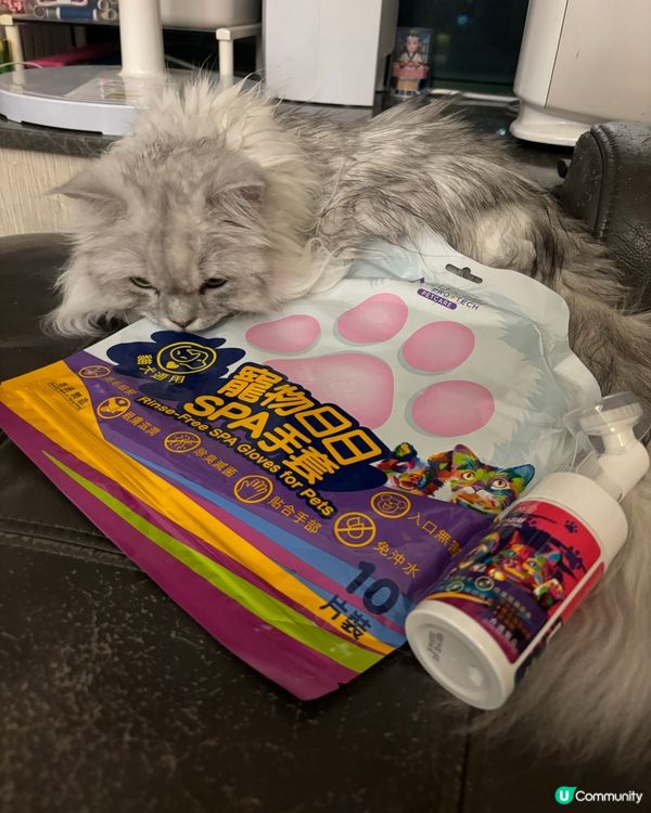 Mochii仔覺得好嘆❤️❤️