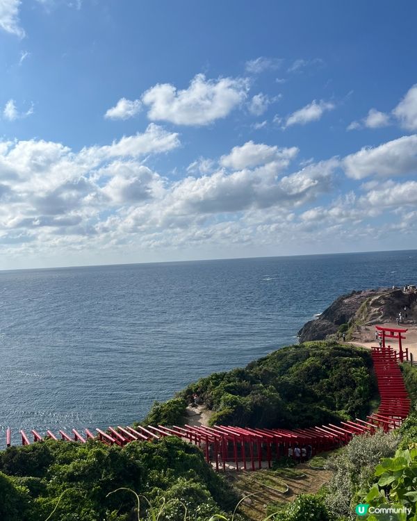 山口縣絕美海邊鳥居⛩️