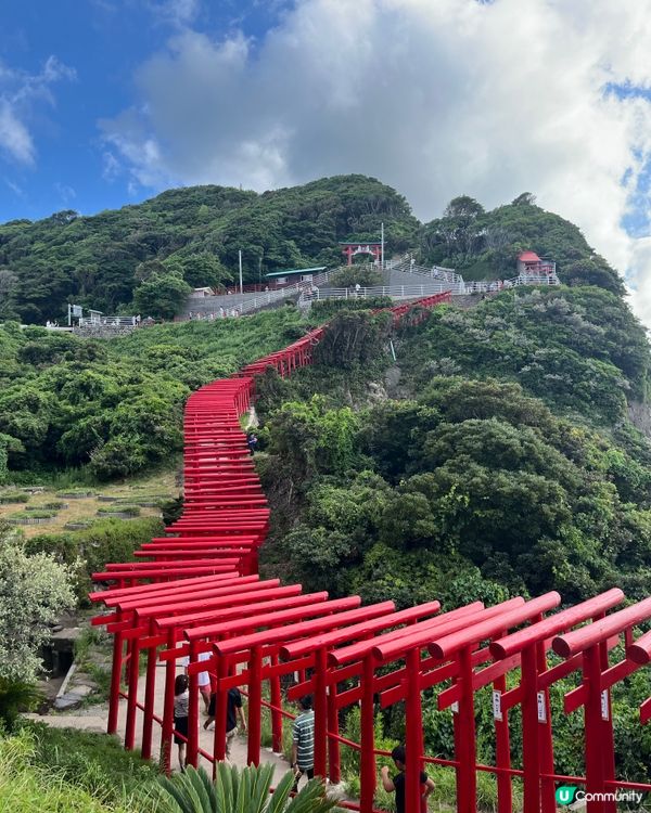山口縣絕美海邊鳥居⛩️