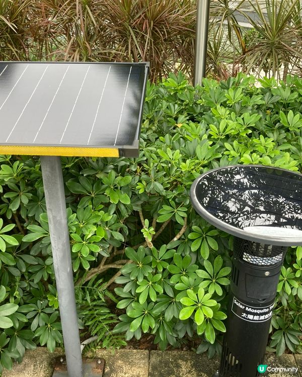 重遊科學園的日子