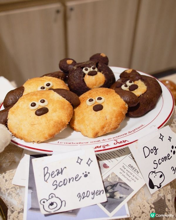 超可愛大阪cafe🐻✨