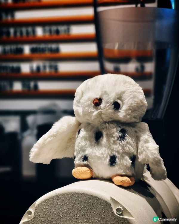 🇯🇵新開!炮台山日系Cafe