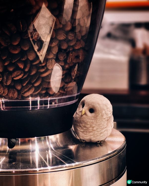 🇯🇵新開!炮台山日系Cafe