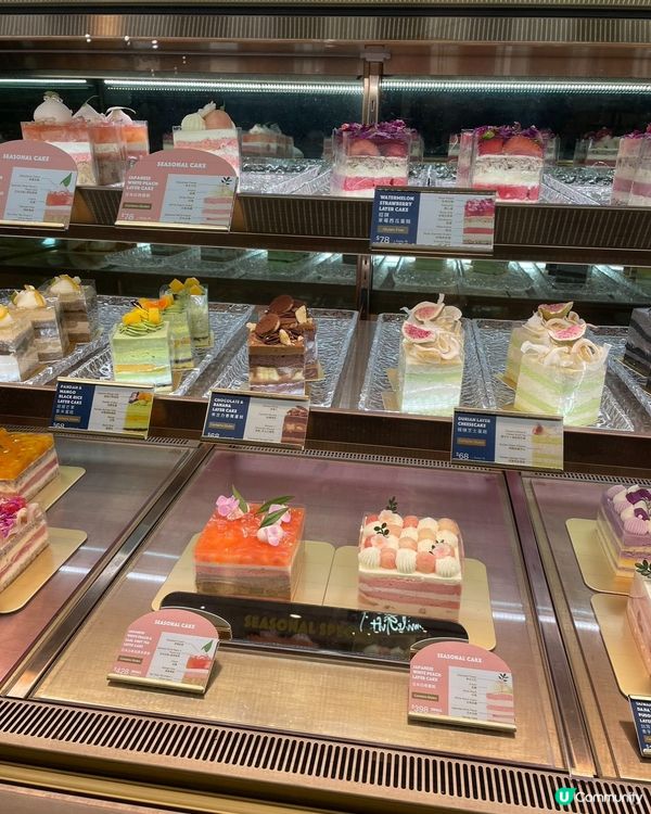 香港明星都愛嘅蛋糕🍰旺角朗豪坊買到！🤩