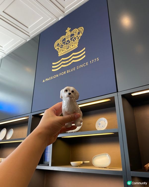 🐶幫新狗仔改乜名好啊？☺️