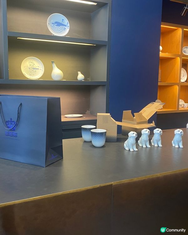 🐶幫新狗仔改乜名好啊？☺️