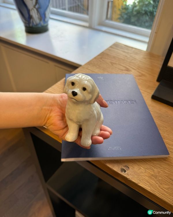 🐶幫新狗仔改乜名好啊？☺️