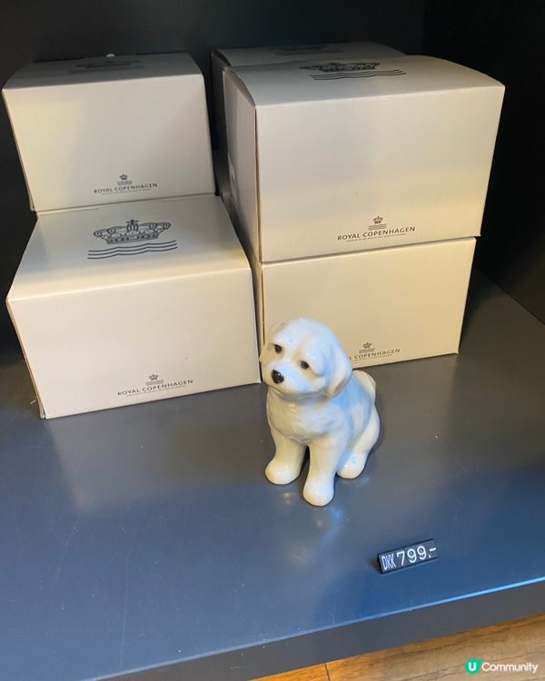 🐶幫新狗仔改乜名好啊？☺️