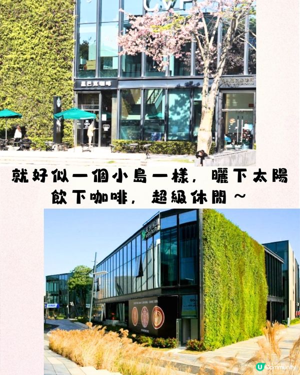 深圳3大最靚Starbucks😍港風復古/湖畔美景‼️必打卡夢幻新品⛰️