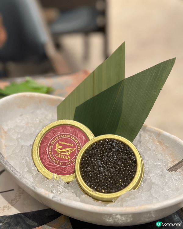 全港數一數二高質日式放題，任食海膽魚子醬鮑魚等高質食物，價錢...