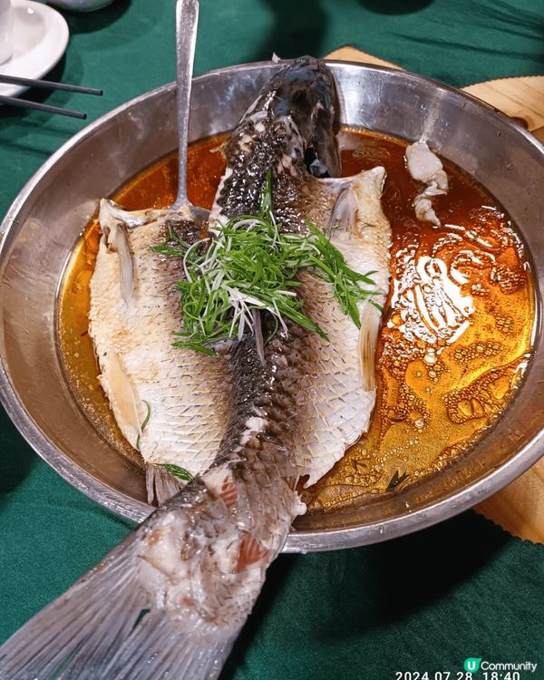 香港+中山，美食停不了，串燒尖沙咀寶勒巷，中山乳鴿，煲煲店。...