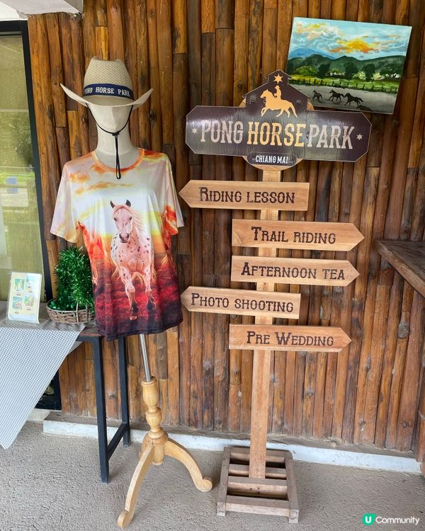 清邁玩樂🤓 騎馬漫步🐎