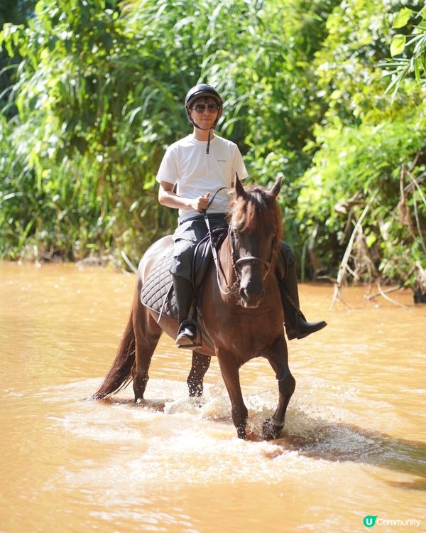 清邁玩樂🤓 騎馬漫步🐎