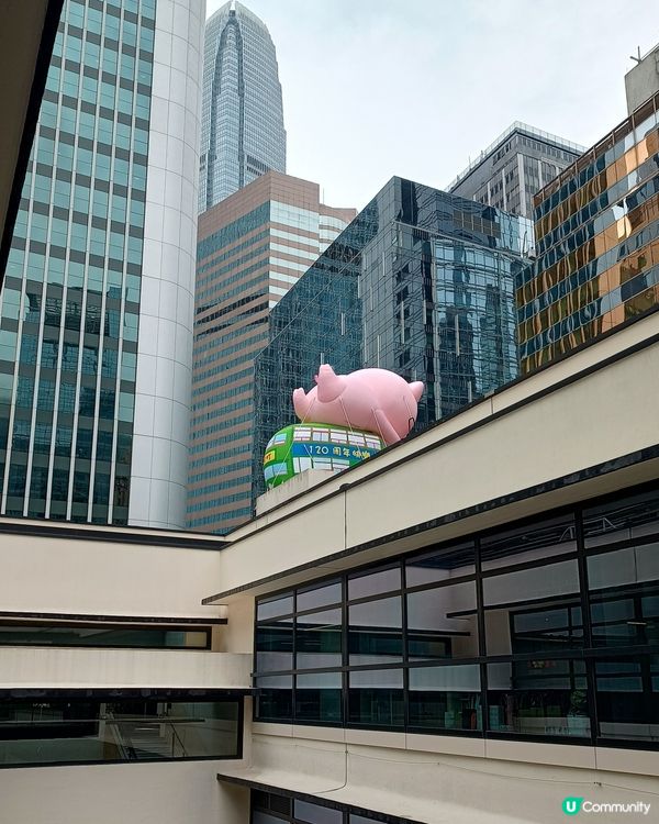 麥兜進駐中環街市🐽