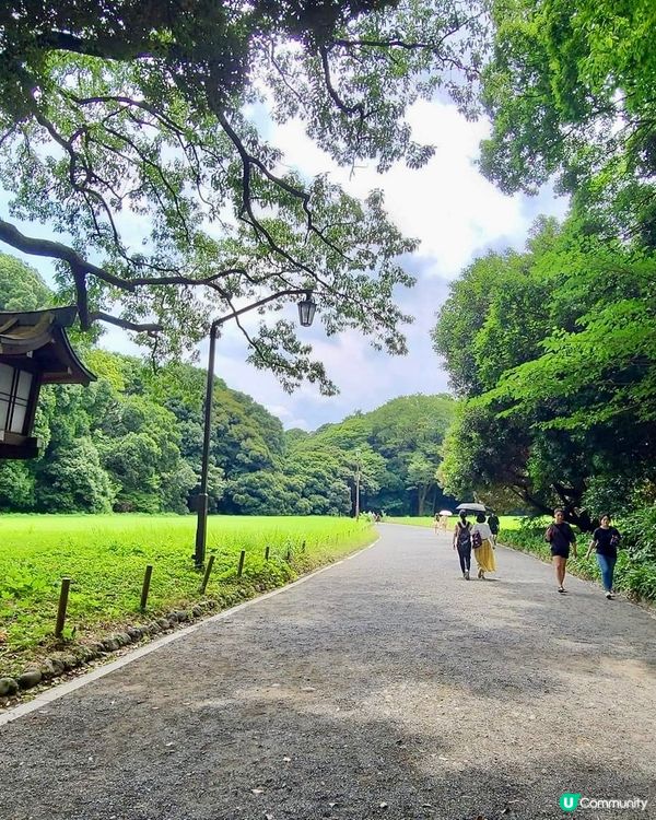 綠悠悠的「明治神宮」