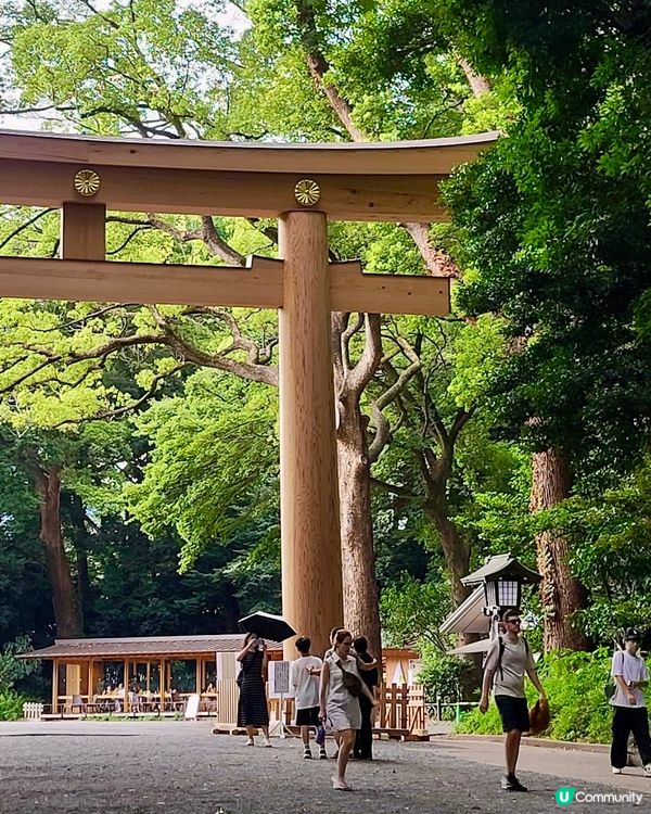 綠悠悠的「明治神宮」