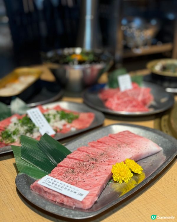 【尖沙咀|特色露營風燒肉店 室內camping】