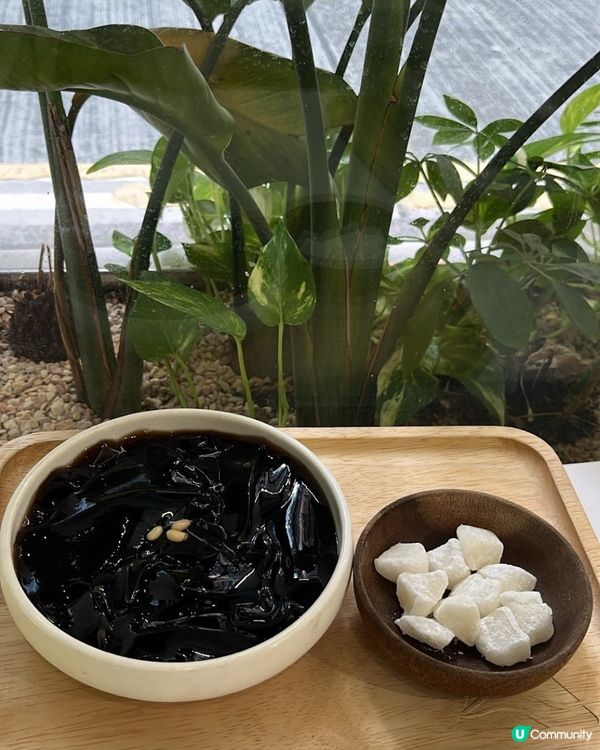 八時神仙草低卡之選😋