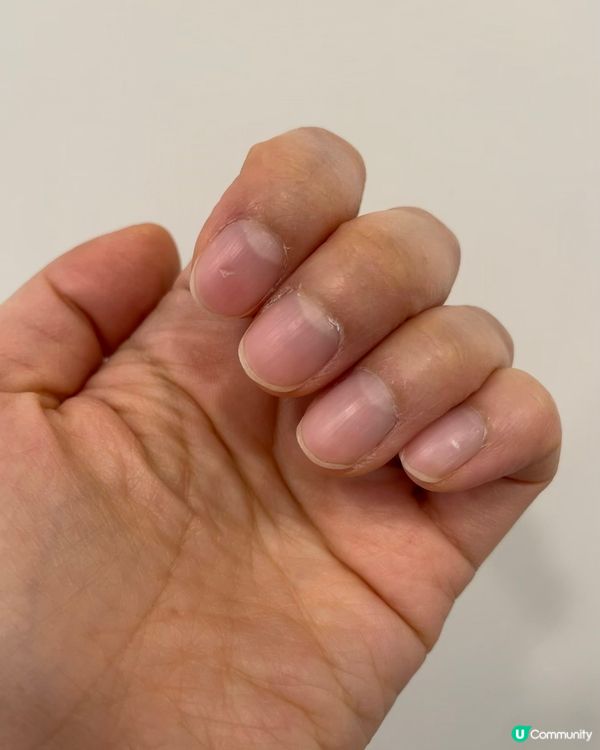 💪🏻  奧運健兒都愛食！