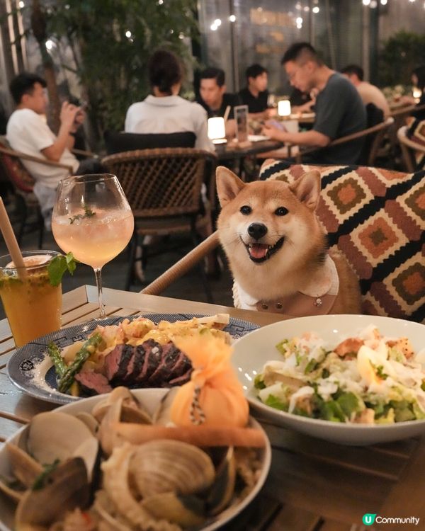 <寵物友善> 高質西餐分享