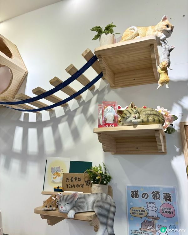北區最新甜品店 喵喵主題