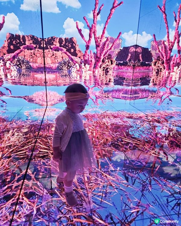 家得路25周年🎉 健康秘密花園🌳 開幕啦！