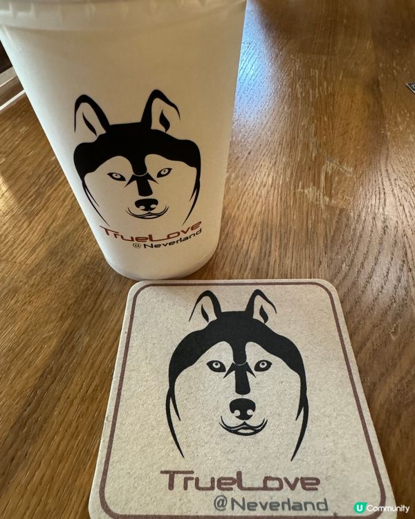 真愛在曼谷-古代牧羊犬cafe融化我心