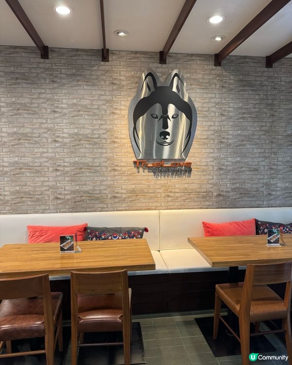 真愛在曼谷-古代牧羊犬cafe融化我心