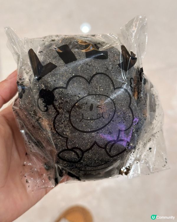 🇰🇷首爾麵包之旅🍞 建大人氣麵包店Lily Bakery